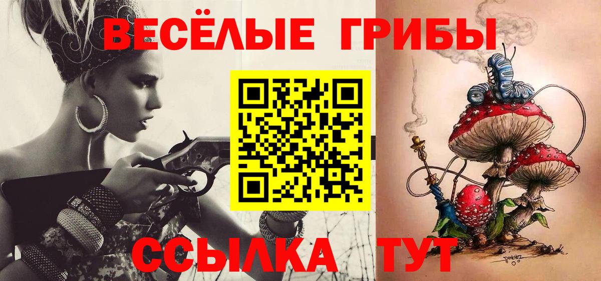 Псилоцибиновые грибы Psilocybine cubensis  купить наркотик  Шали  Вход с VPN  Галлюциногенные грибы GOLDEN TEACHER 