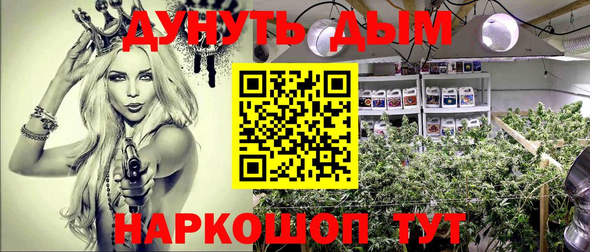 Канабис семена  Вход с VPN  МАРИХУАНА VHQ  Марихуана семена  Шали  Конопля AK-47 